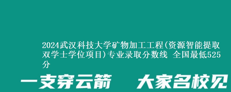 2024武汉科技大学矿物加工工程(资源智能提取双学士学位项目)专业录取分数线 全国最低525分