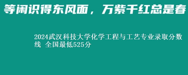 2024武汉科技大学化学工程与工艺专业录取分数线 全国最低525分