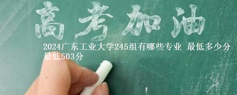 2024广东工业大学245组有哪些专业 最低多少分 最低503分