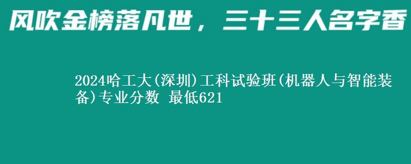 2024哈工大(深圳)工科试验班(机器人与智能装备)专业分数 最低621