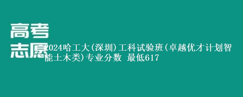 2024哈工大(深圳)工科试验班(卓越优才计划智能土木类)专业分数 最低617