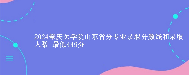 2024肇庆医学院山东省分专业录取分数线和录取人数 最低449分