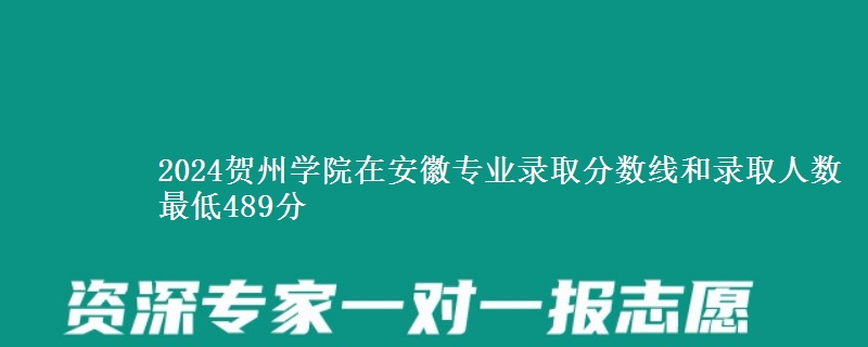 2024贺州学院在安徽专业录取分数线和录取人数 最低489分