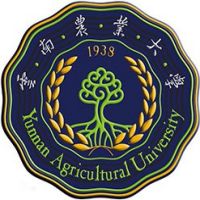 2024云南农业大学录取分数线(含中外合作办学和体育类)