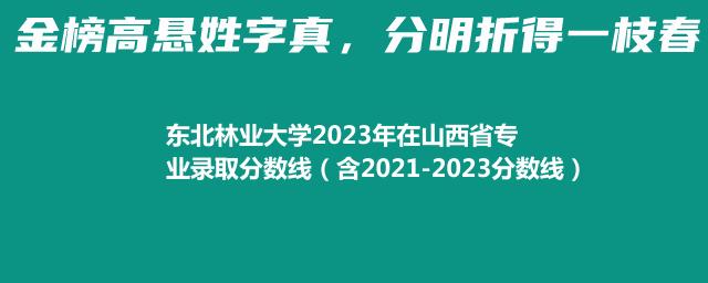 东北林业大学2021-2023近三年高考在山西省专业录取分数线（含2021-2023分数线）