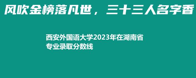 西安外国语大学2023年在湖南省专业录取分数线