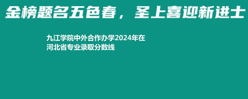 九江学院中外合作办学2024年在河北省专业录取分数线