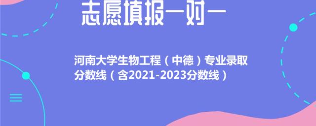 2023河南大学生物工程（中德）专业录取分数线(含2021-2023历年分数)