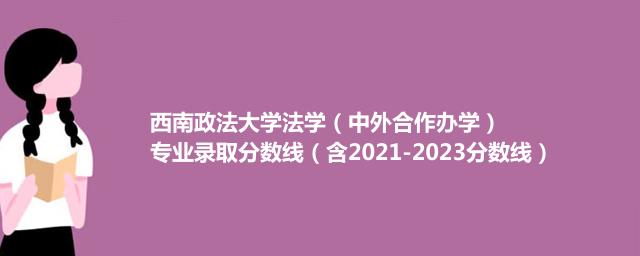 2023西南政法大学法学（中外合作办学）专业录取分数线