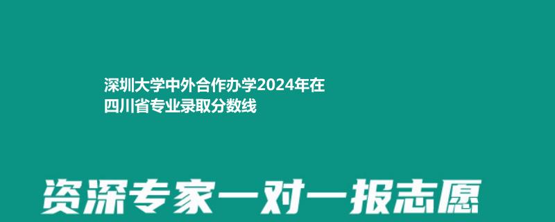 深圳大学中外合作办学2024年在四川省专业录取分数线