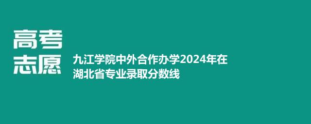 九江学院中外合作办学2024年在湖北省专业录取分数线