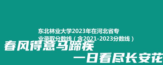 东北林业大学2023年在河北省专业录取分数线（含2021-2023分数线）