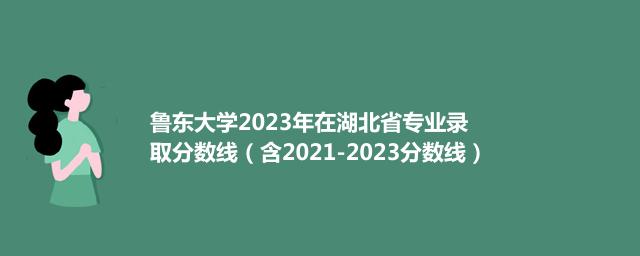 鲁东大学2023年在湖北省哪个专业分数线最低 （含2021-2023分数线）