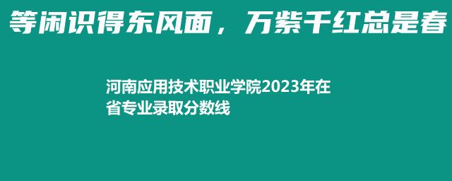 河南应用技术职业学院2023中外合作办学分数线