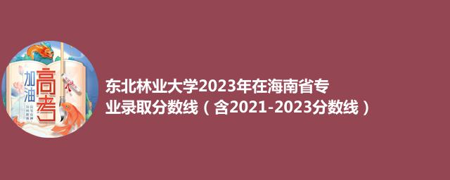 东北林业大学2021-2023近三年海南省专业录取分数线（含2021-2023分数线）