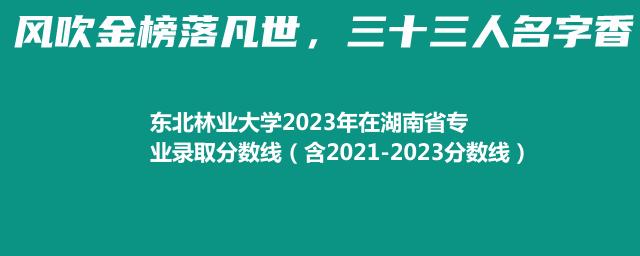 东北林业大学2021-2023近三年湖南省专业录取分数线（含2021-2023分数线）