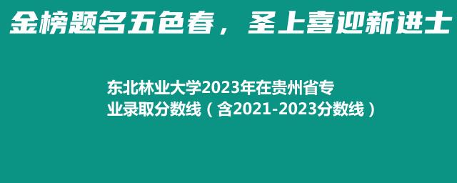 东北林业大学2023年在贵州省专业录取分数线（含2021-2023分数线）