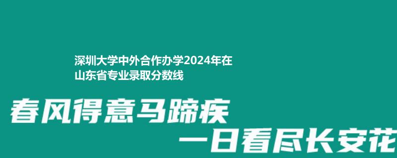 深圳大学中外合作办学2024年在山东省专业录取分数线