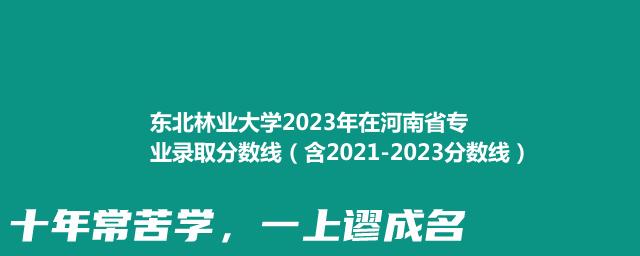 东北林业大学2021-2023近三年河南省专业录取分数线（含2021-2023分数线）