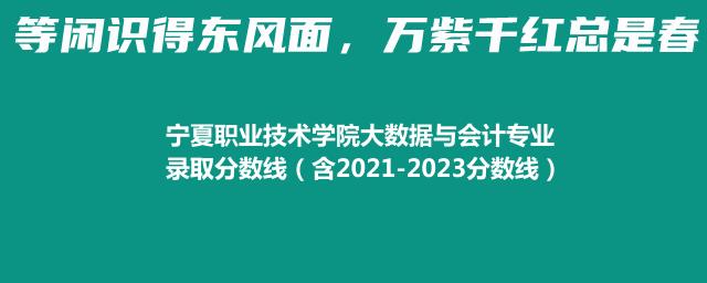 宁夏职业技术学院大数据与会计专业录取分数线（含2021-2023分数线）