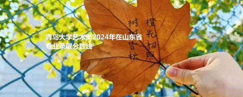 青岛大学艺术类2024年在山东省专业录取分数线