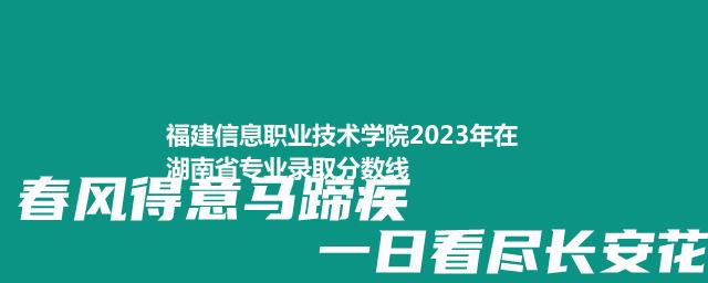 福建信息职业技术学院2023年在湖南省专业录取分数线