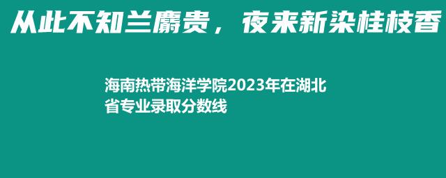 海南热带海洋学院2024艺术类在湖北专业最低录取分数线