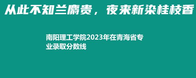 南阳理工学院2023年在青海省专业录取分数线