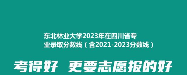 东北林业大学2021-2023近三年高考在四川省专业录取分数线（含2021-2023分数线）